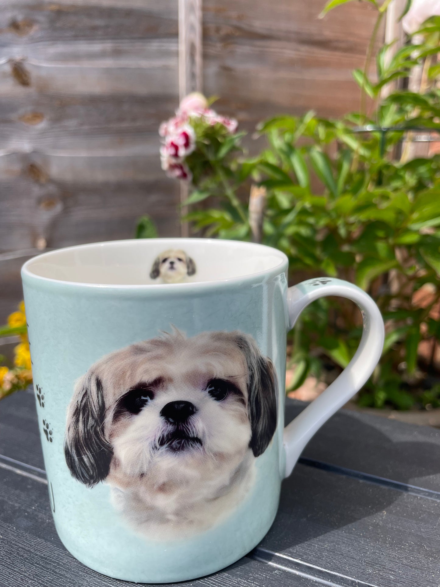 Shitzu Cup