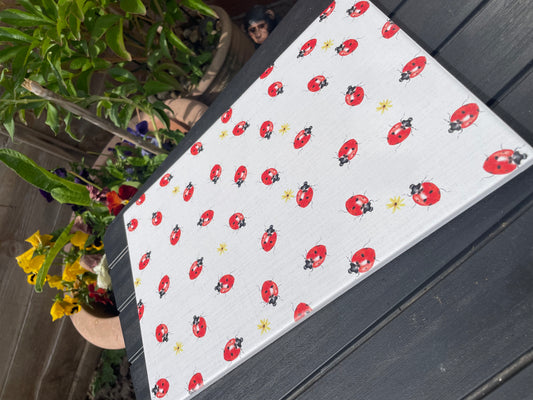 Ladybird table mat