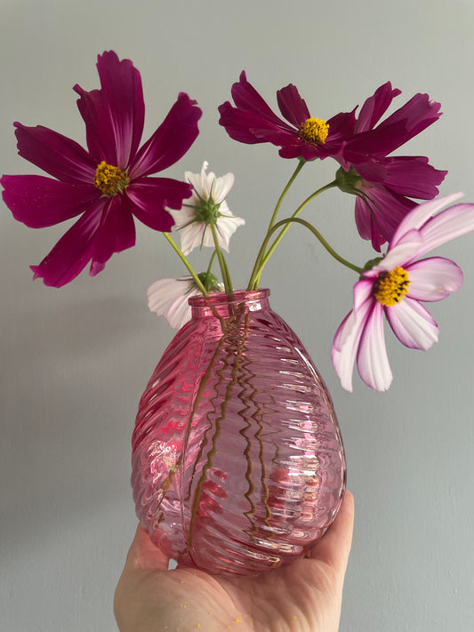 Glass stem vase - pink