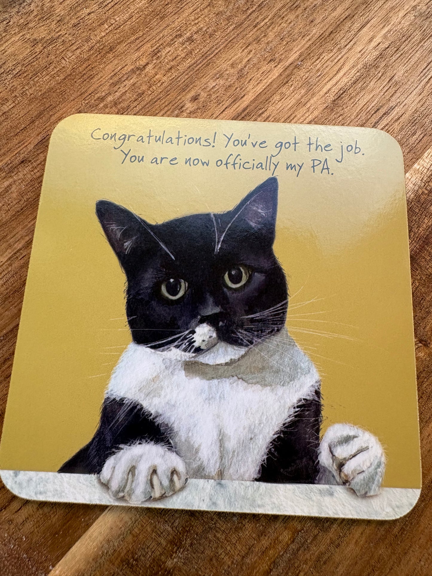 Black and white cat coaster