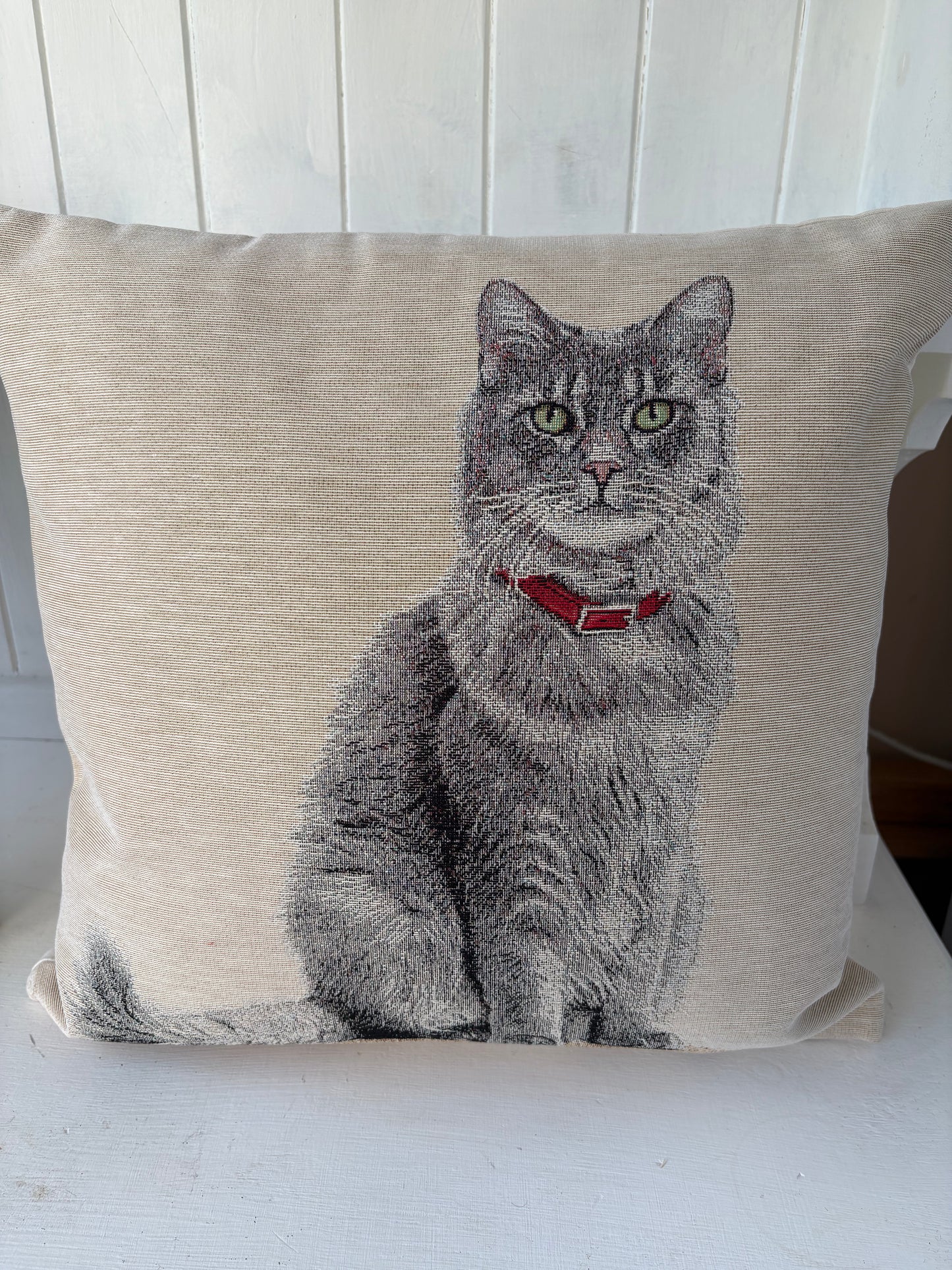 Grey cat cushion 45cm x 45cm
