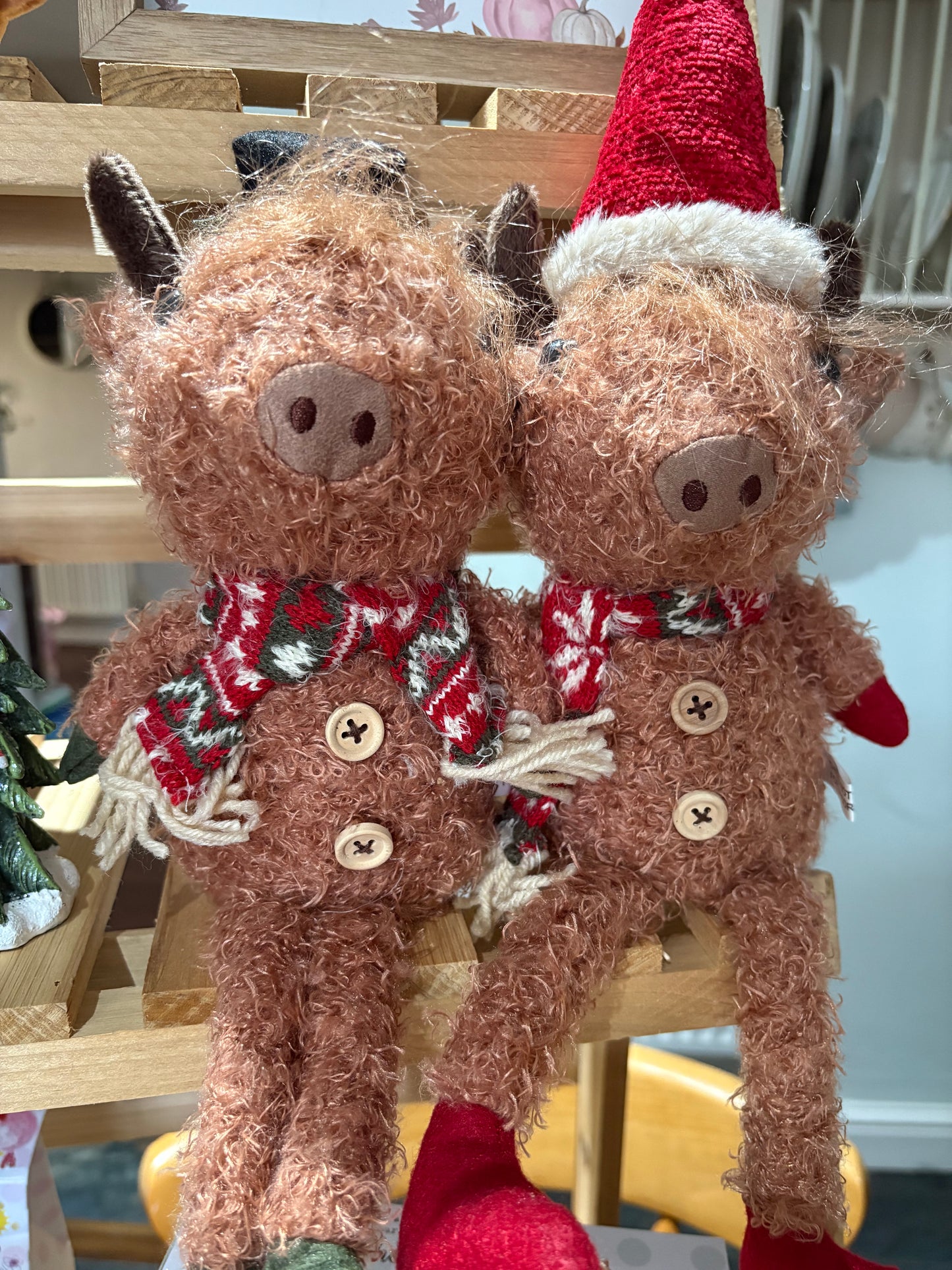 Mr & Mrs highland cow