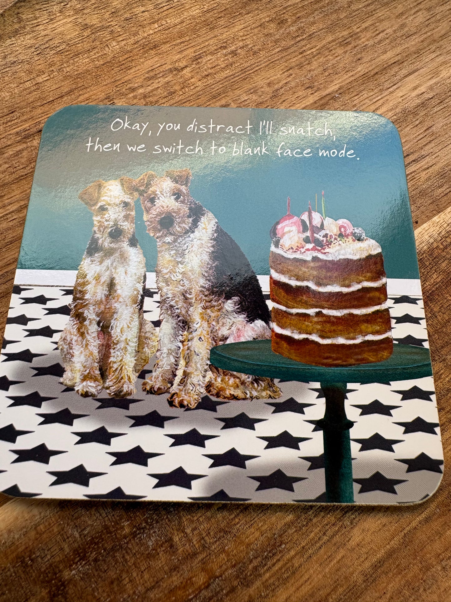 Terrier coaster