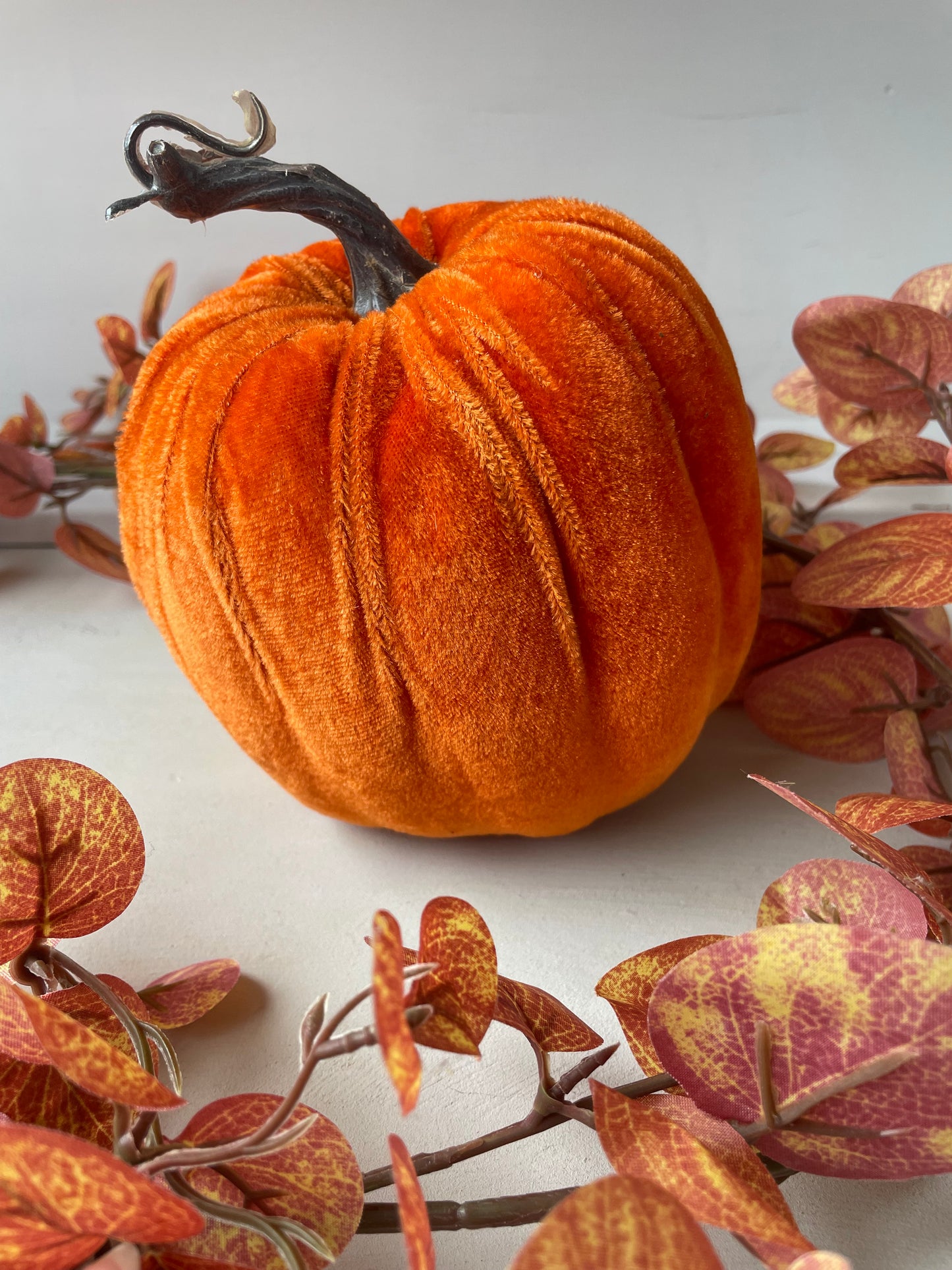 Velvet pumpkin - Autumn collection