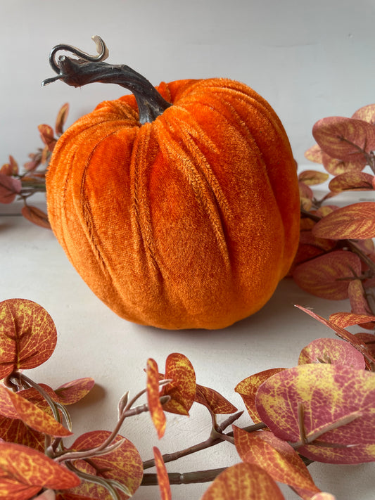 Velvet pumpkin - Autumn collection