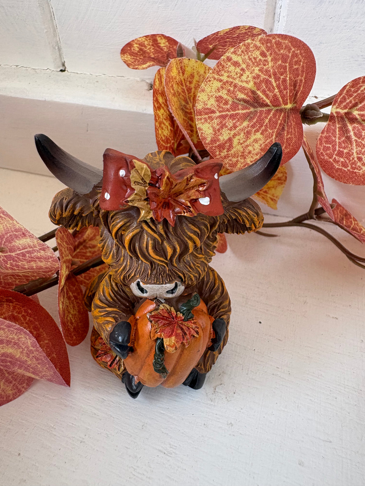 Highland cow bow and pumpkin