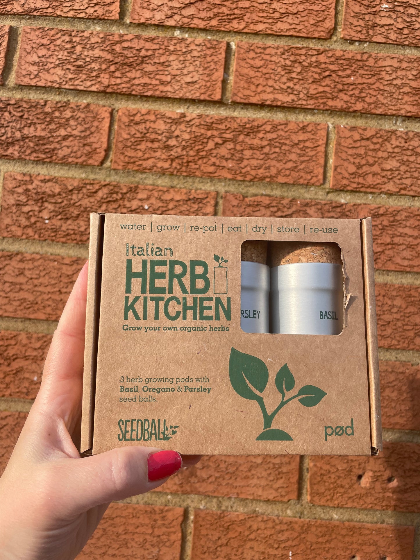 Italian herb kitchen grow kit