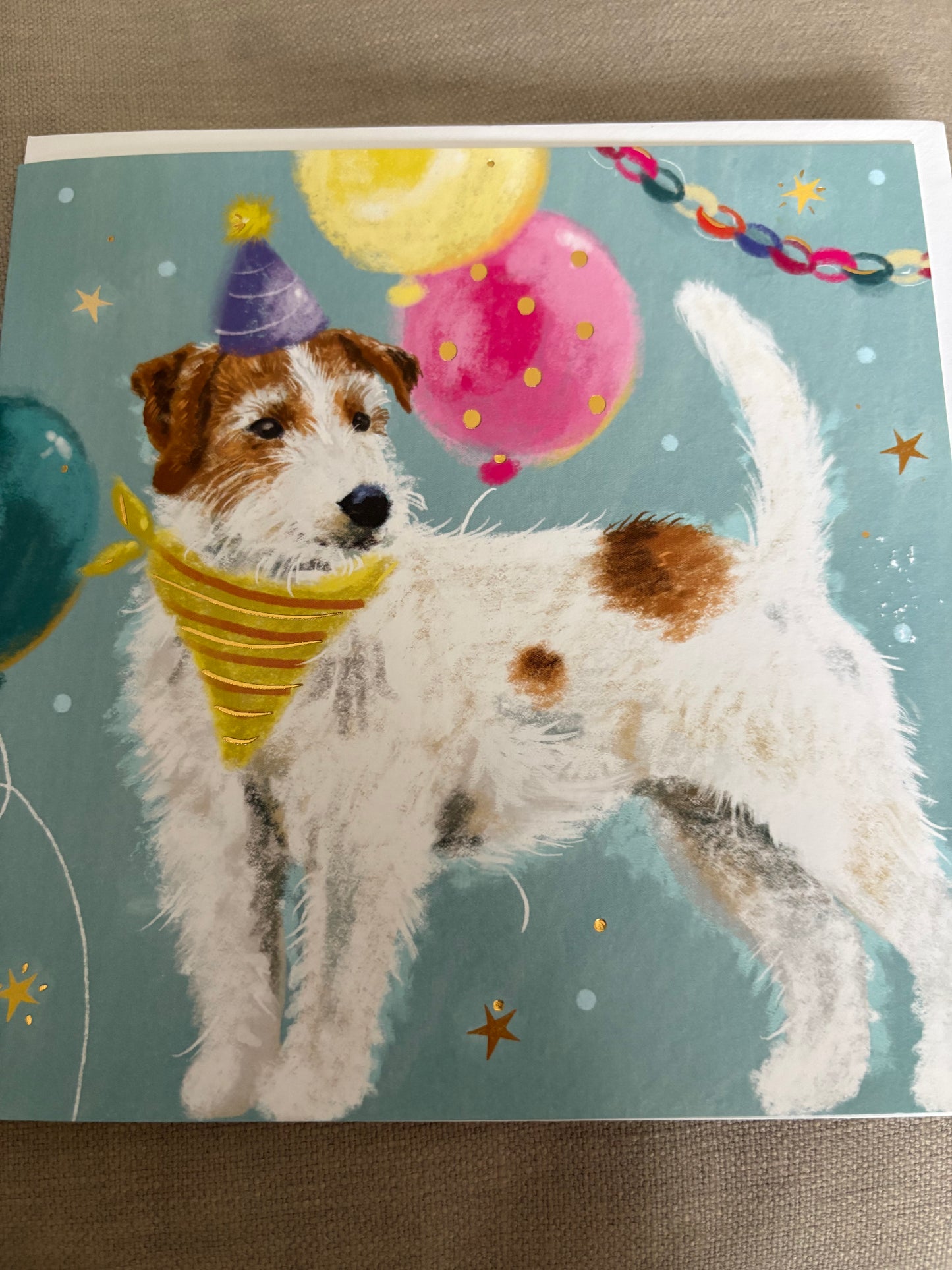 Terrier card