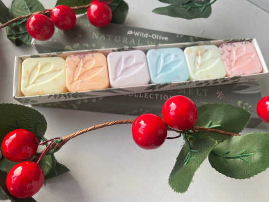 Natural Soy wax melts - Box of 6 hand poured fragrance melts - Autumn/winter