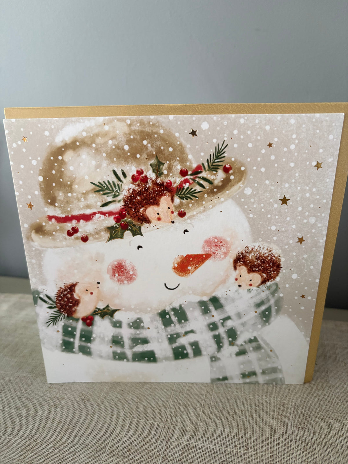 Snowman hedgehog friends card