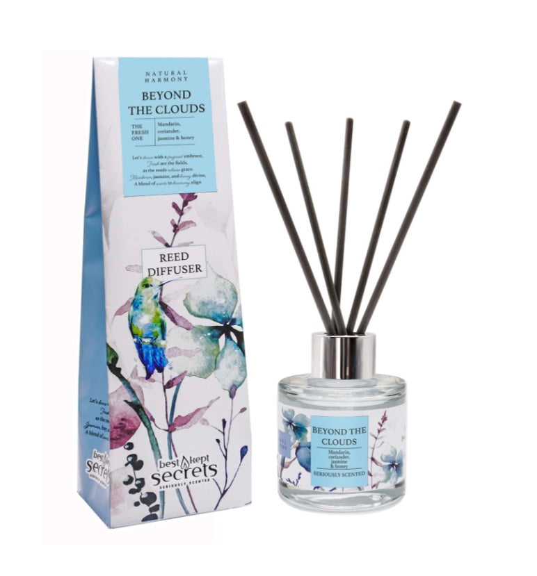 Beyond the clouds diffuser