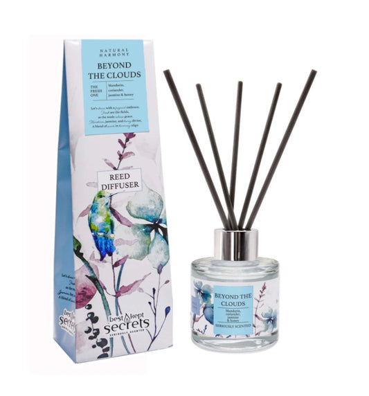 Beyond the clouds diffuser