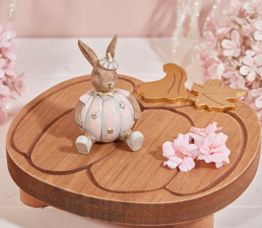 Pink pumpkin rabbit sitting