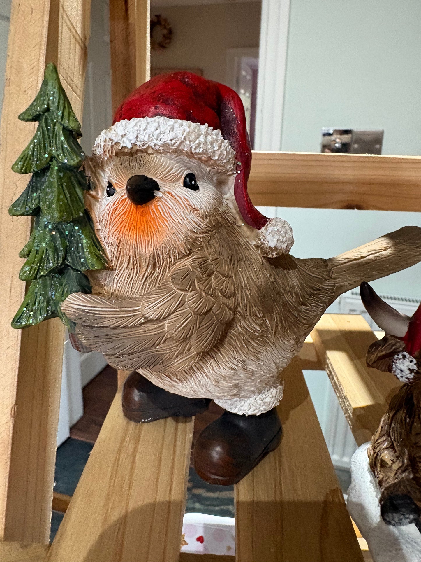 Robin christmas hat