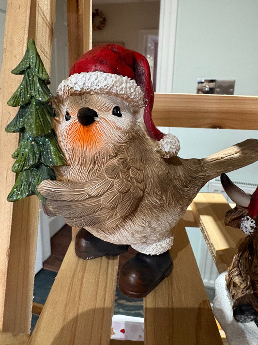 Robin christmas hat