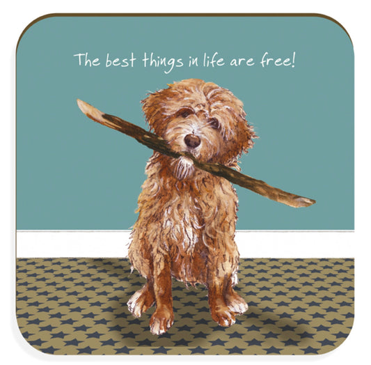 Cockapoo stick coaster