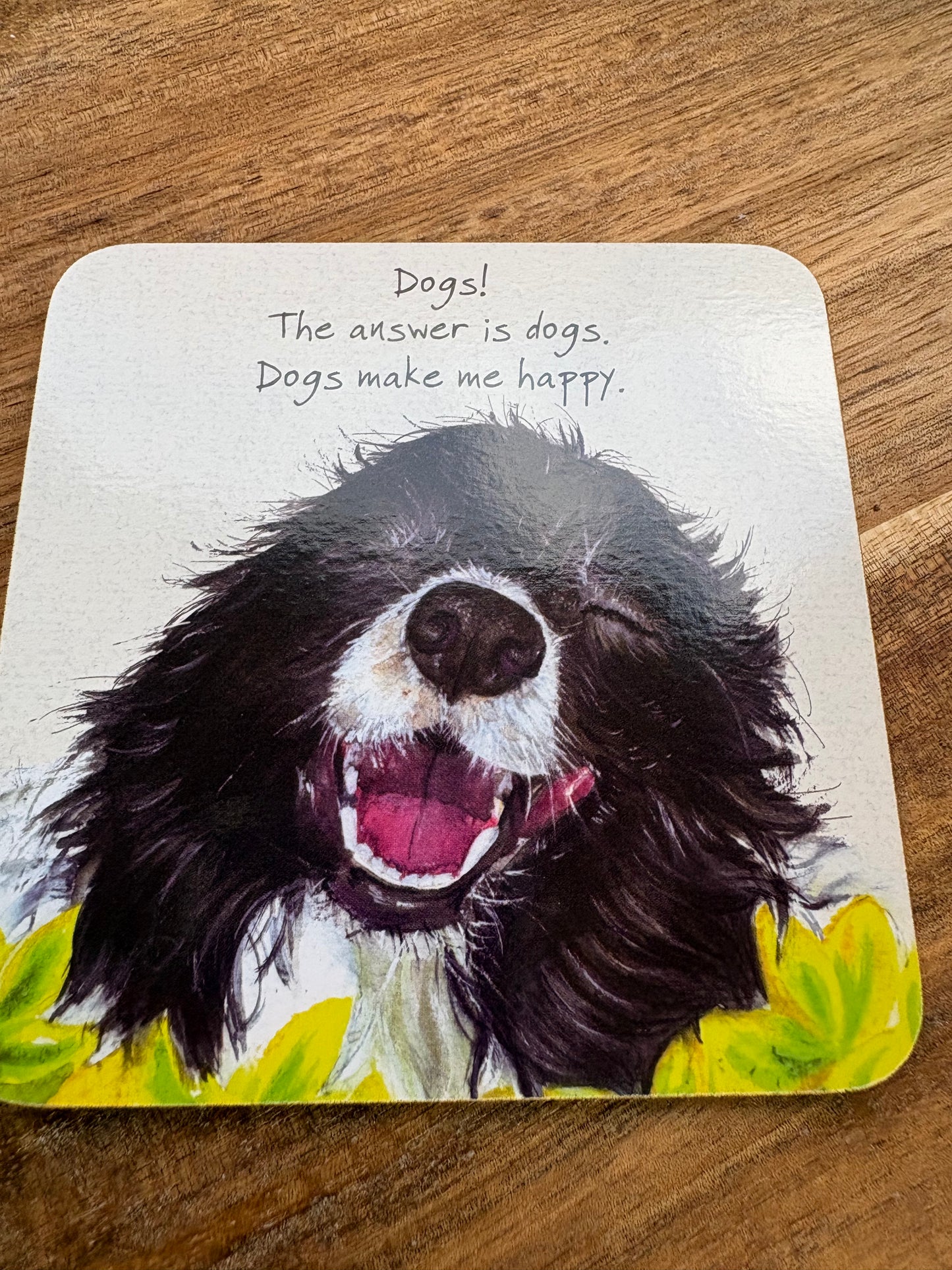 Happy dogs coaster
