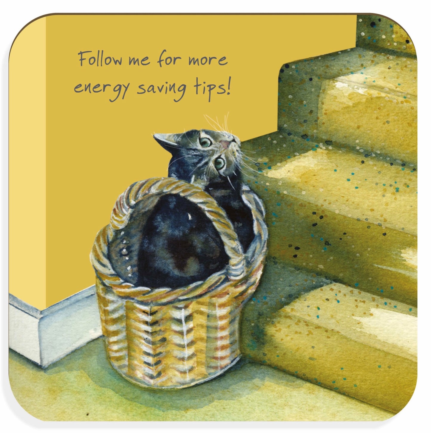 Cat coaster