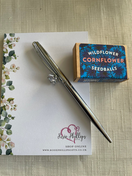 Grow flowers with Rosie & poppy - cornflower