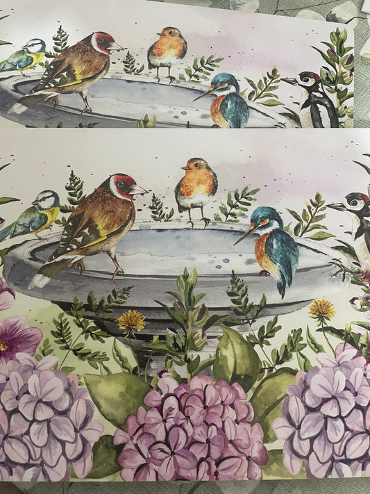 Garden Birds Placemats