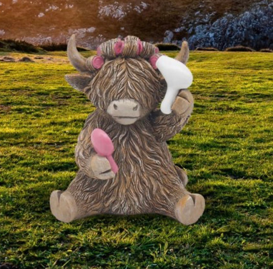 Highland cow - hairdo