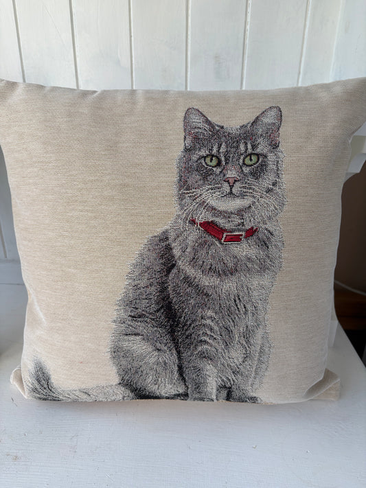 Grey cat cushion 45cm x 45cm