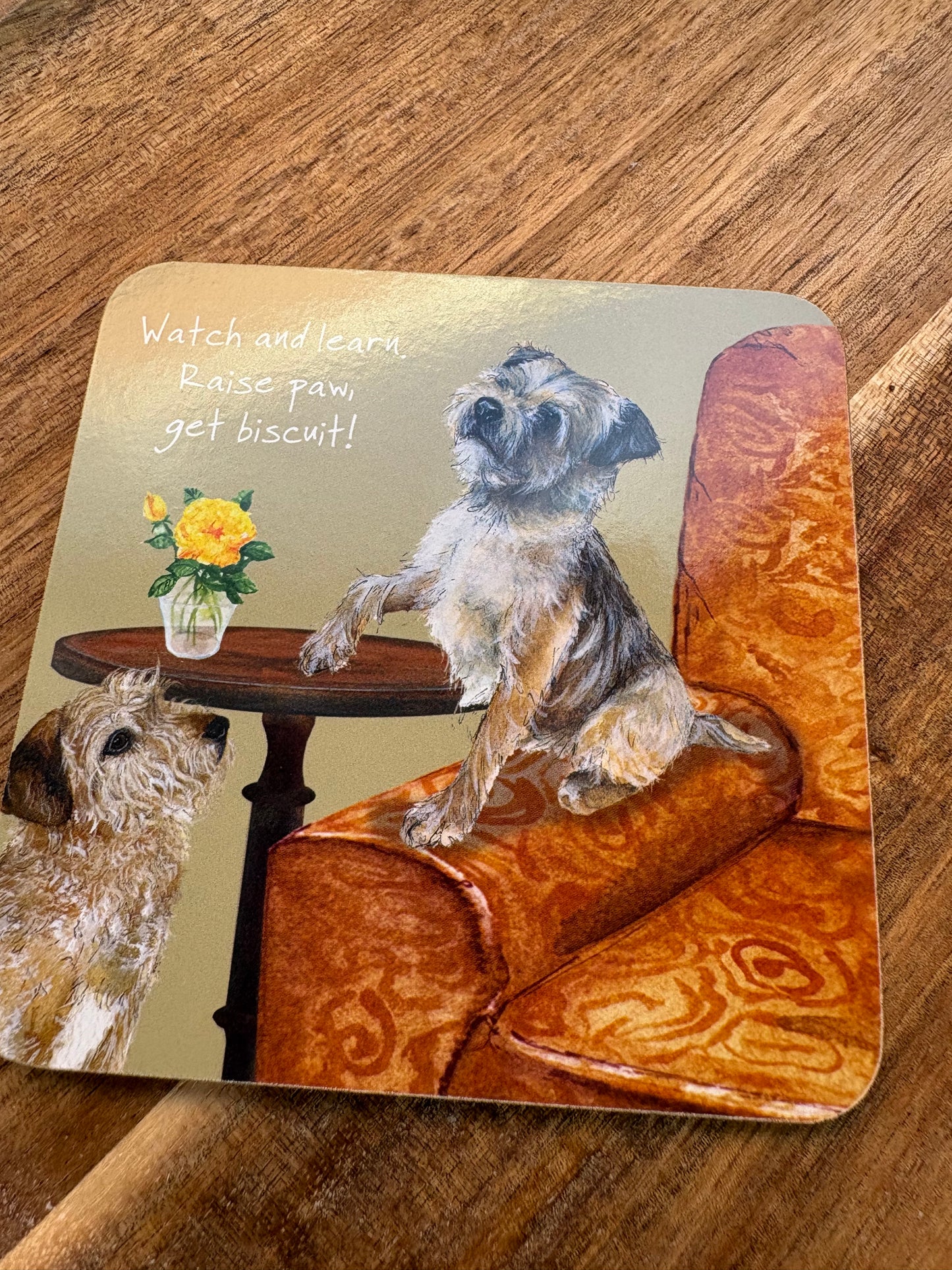 Border terrier coaster