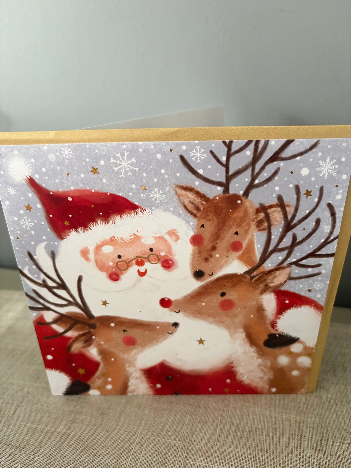 Santa and reindeers christmas card