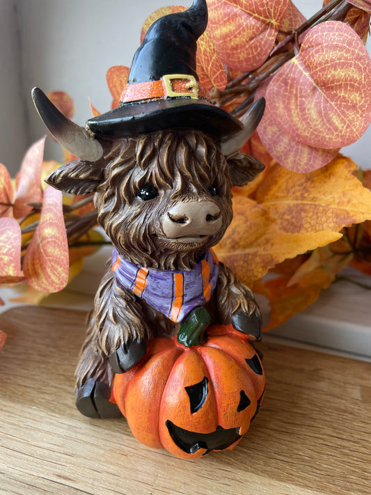 Highland Cow - orange