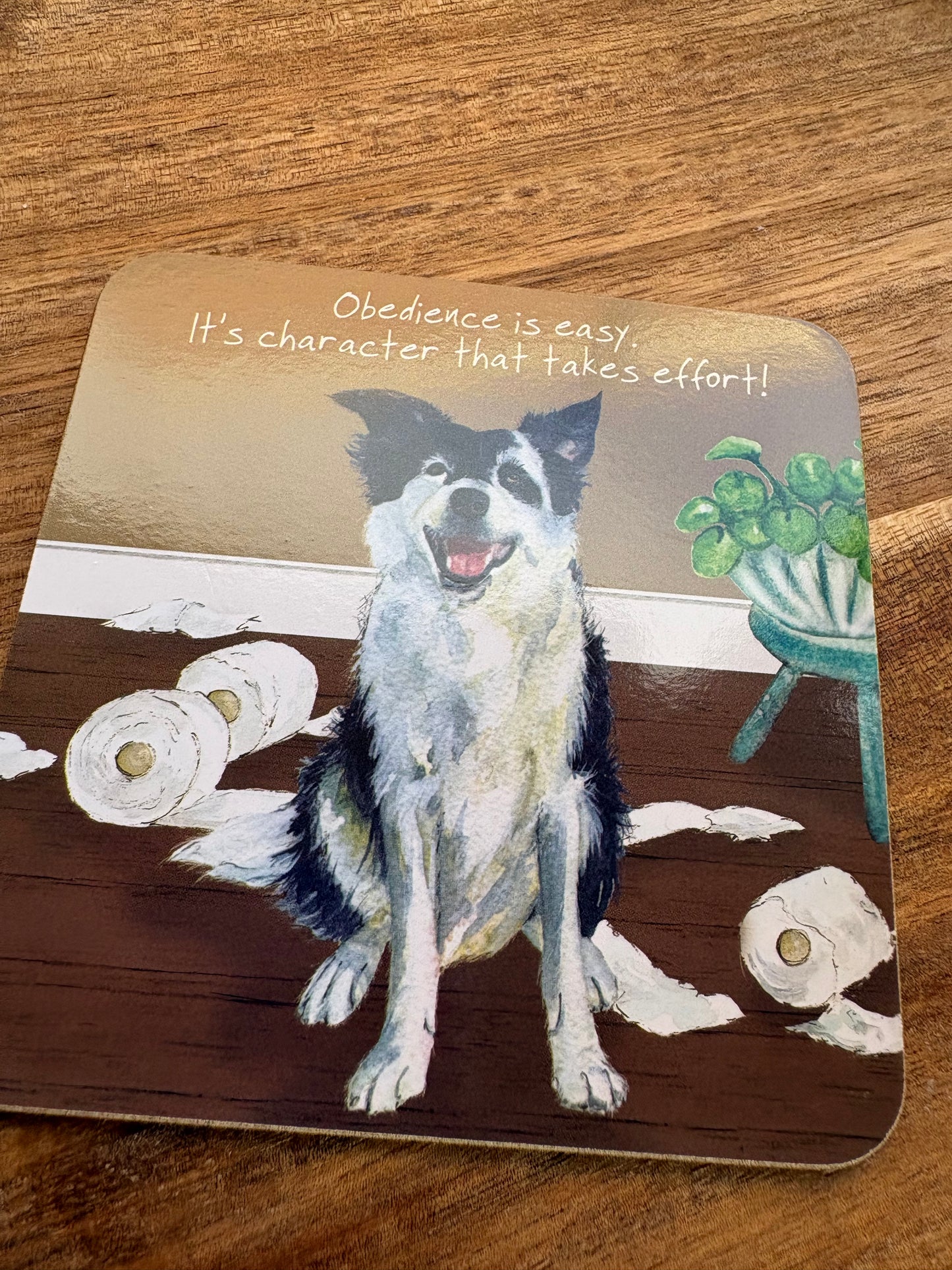 Collie dog coaster