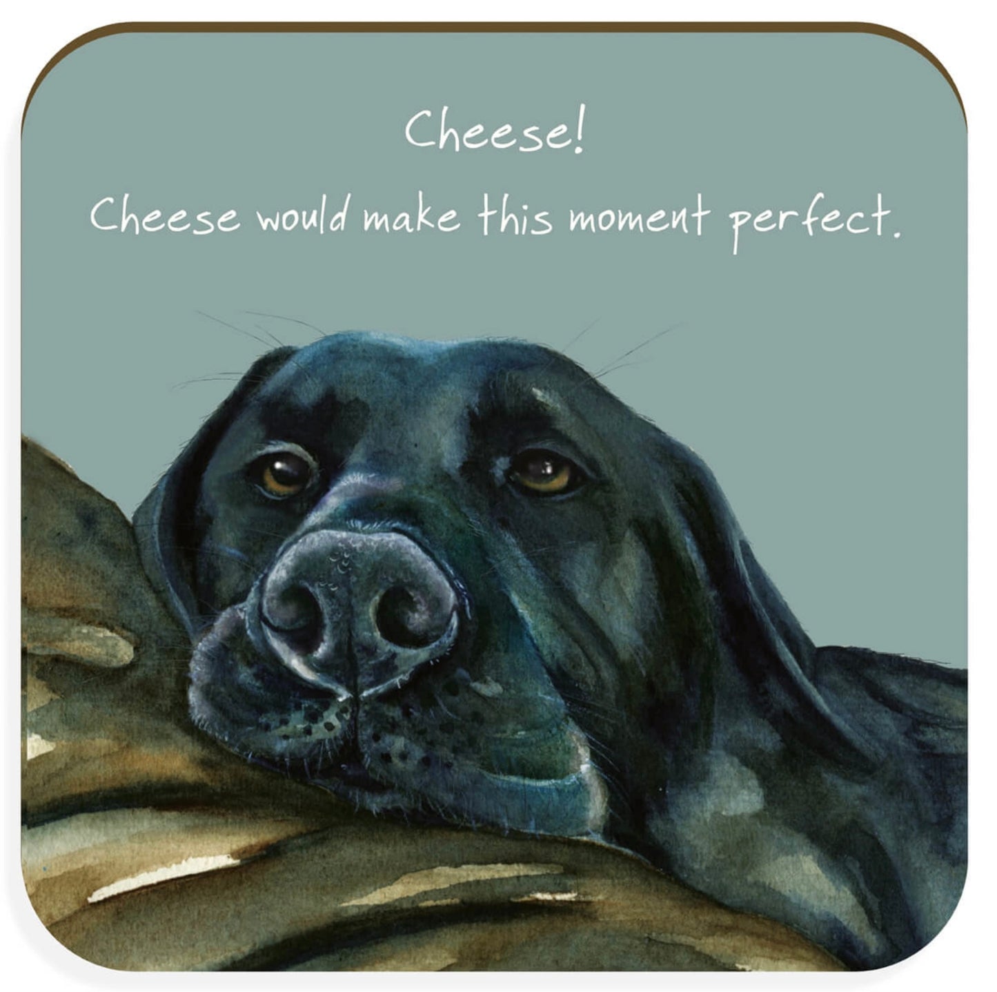 Labrador coaster