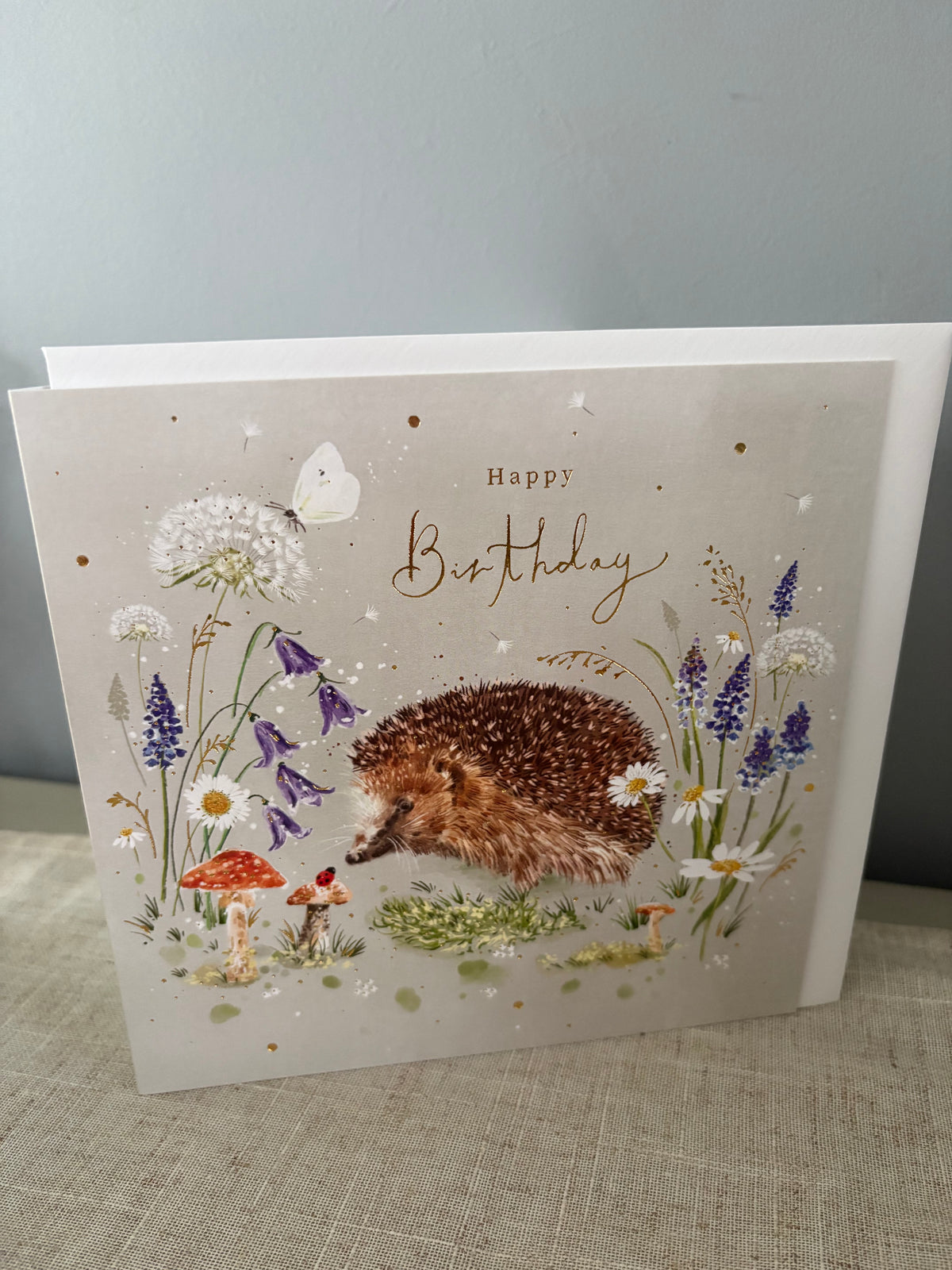Hedgehog birthday design card