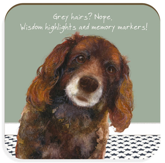 Dog lover coaster