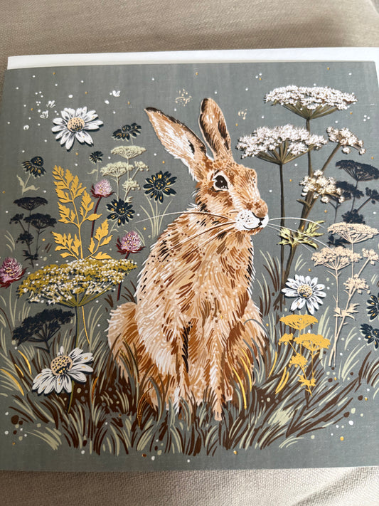 Beautiful hare card