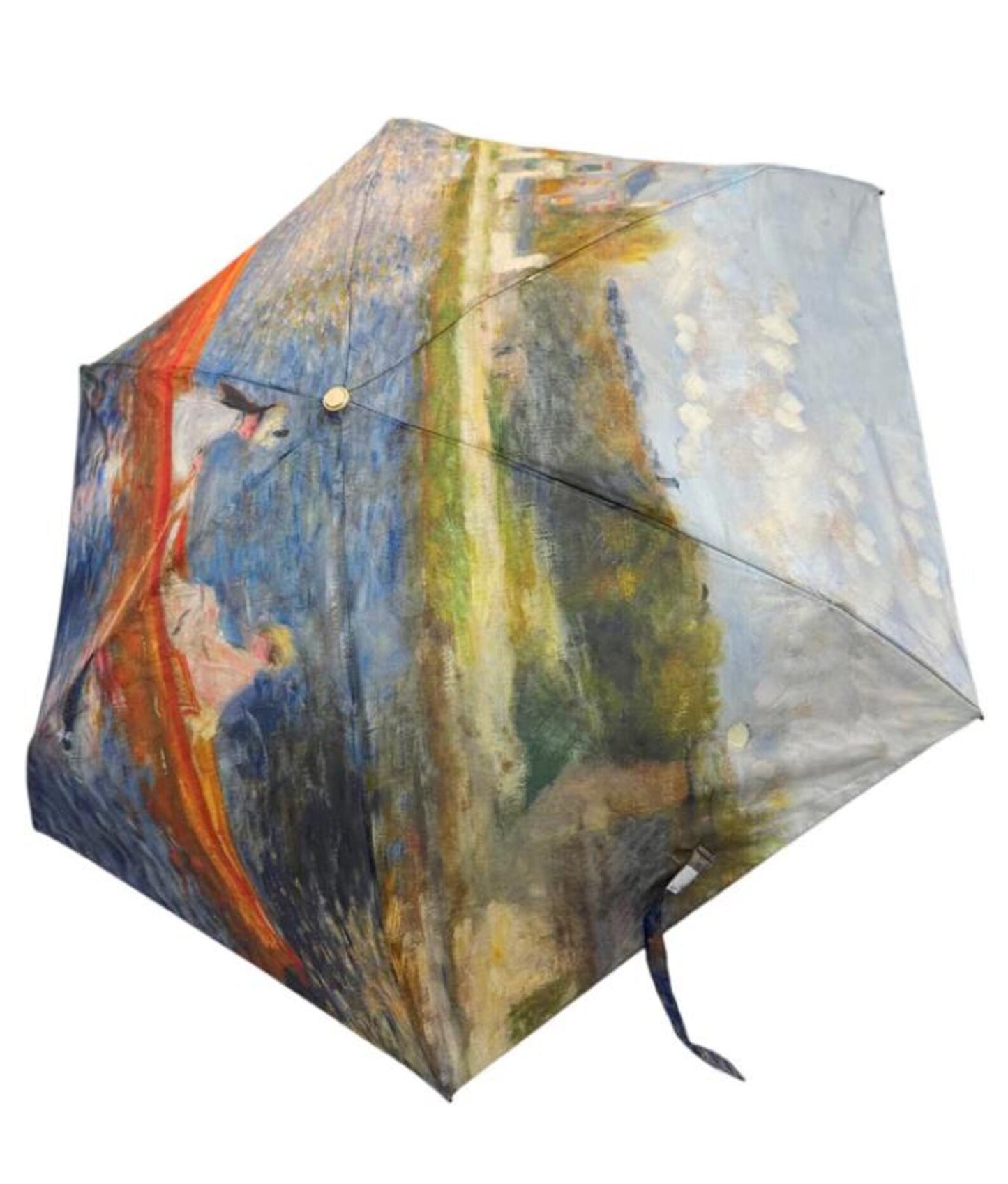 Artist design umbrella in zipped handy case