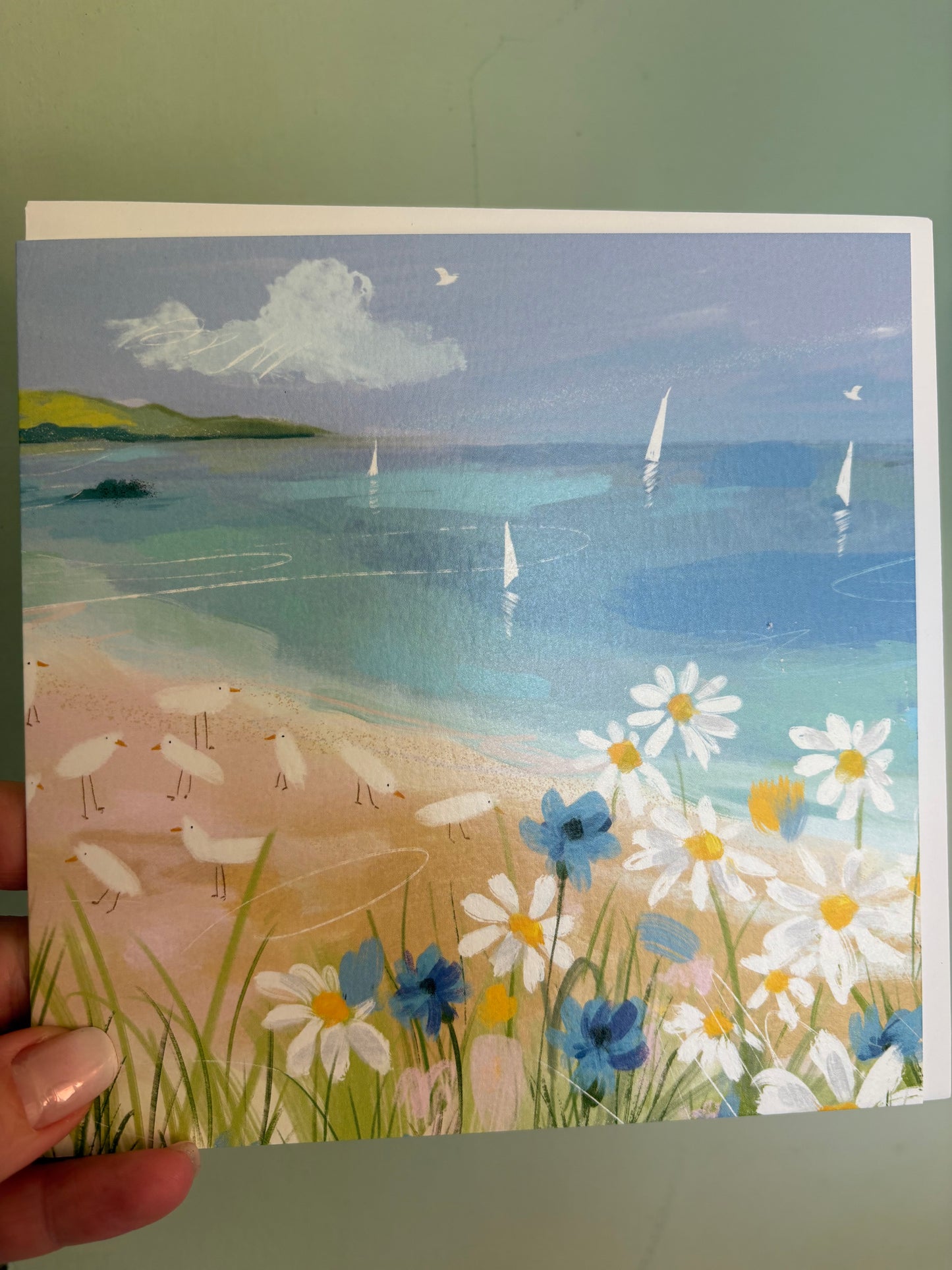 Seagull coastal card