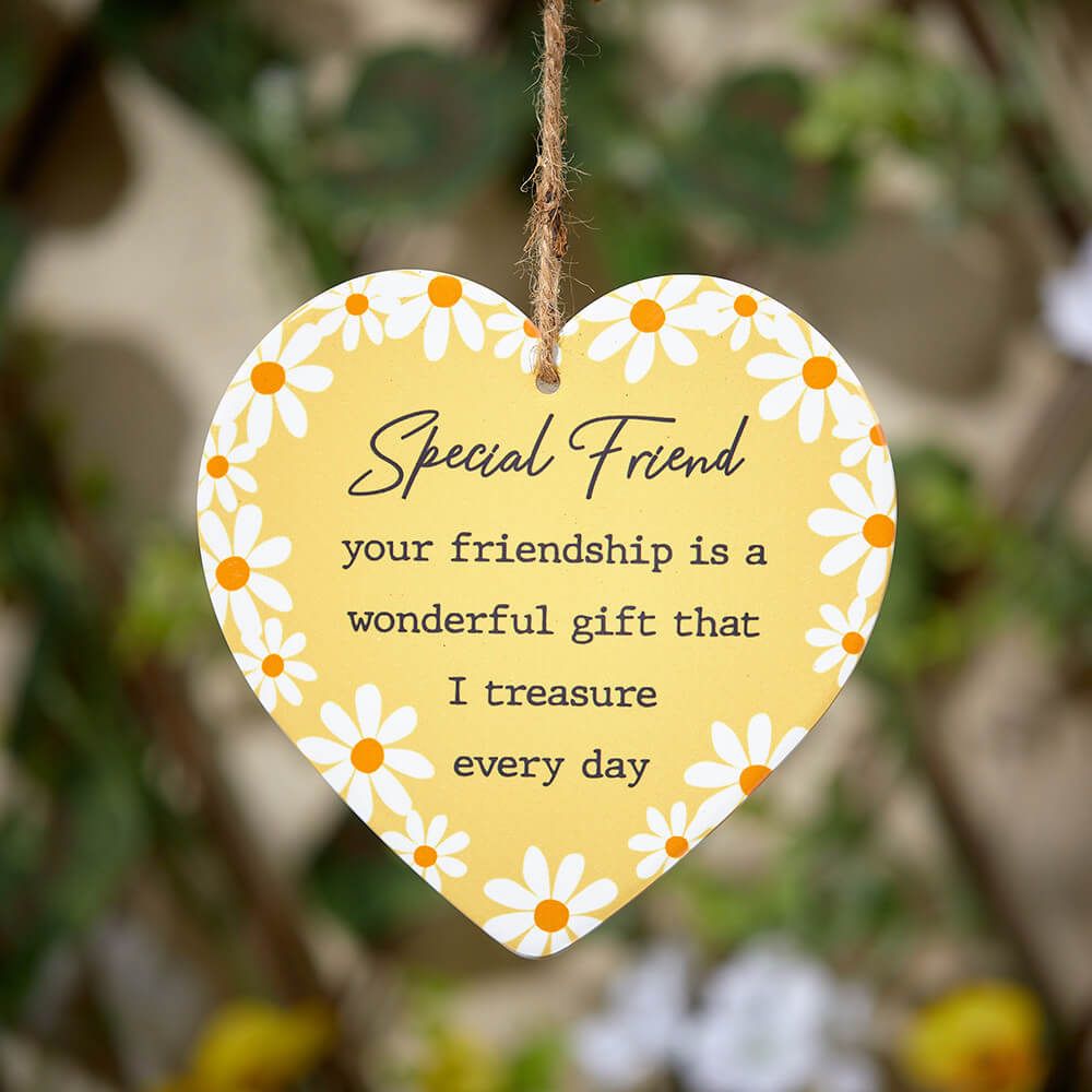 Hanging Ceramic Heart - Special Friend