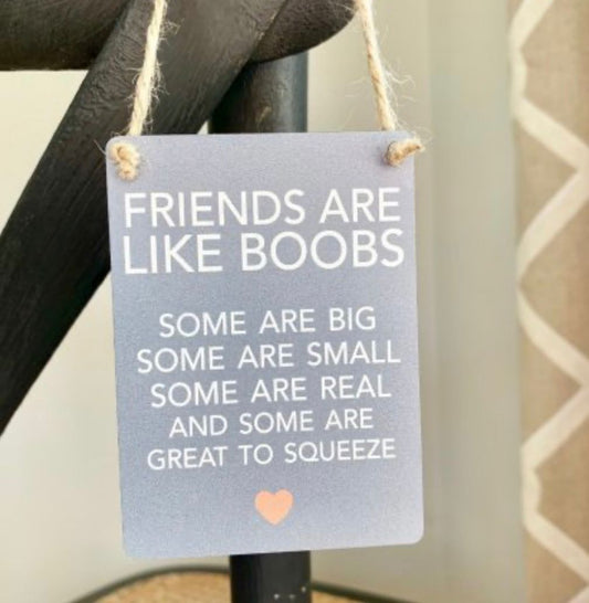 Friends are like boobs plaque