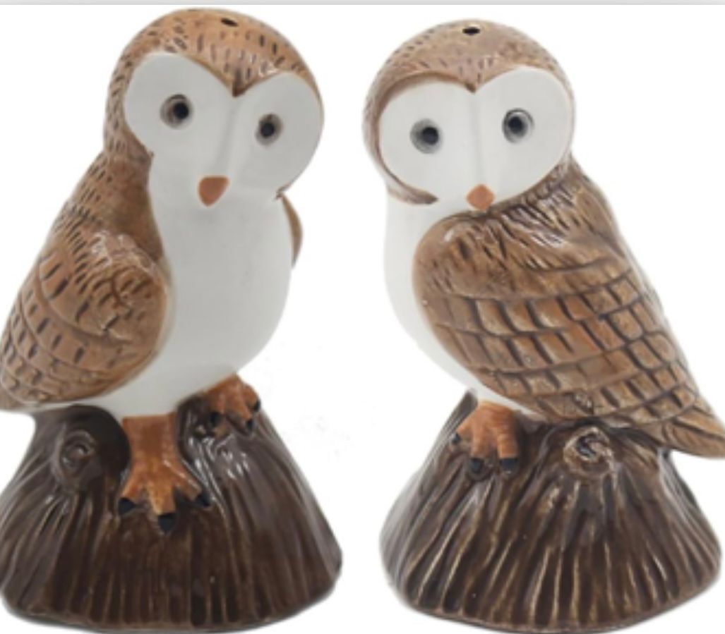 Ceramic Barn Owls Salt & Pepper Shakers