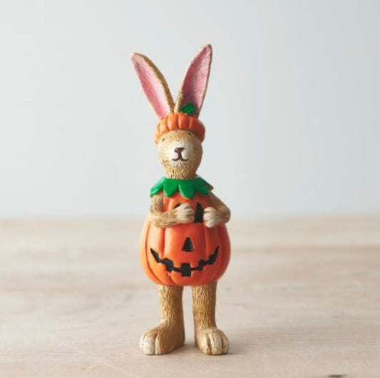 Jasper Rabbit Pumpkin