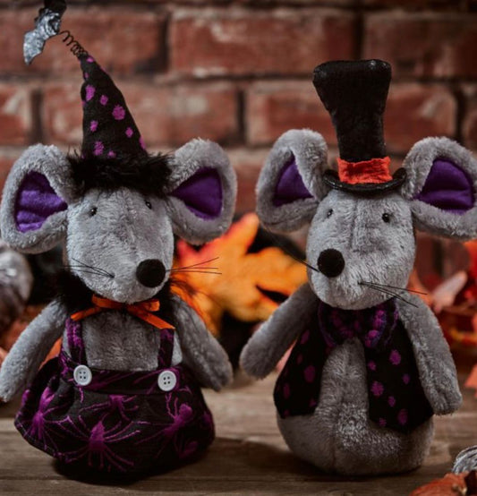 Mr and Mrs mouse in witch hat