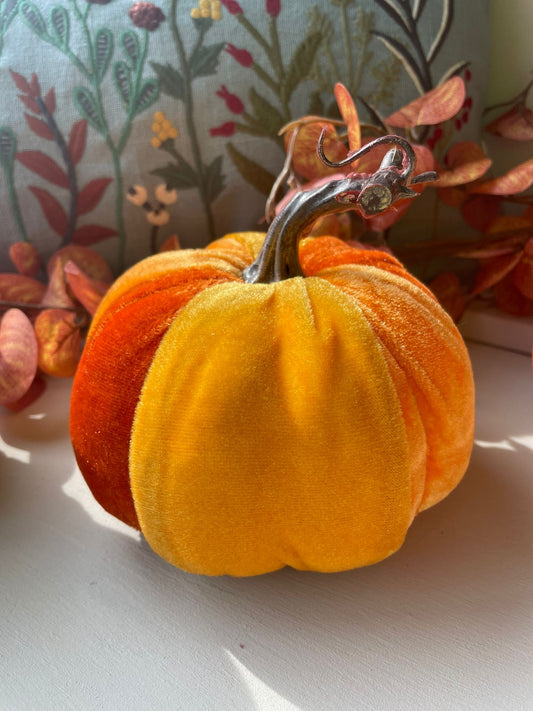 Autumn colours velvet pumpkin